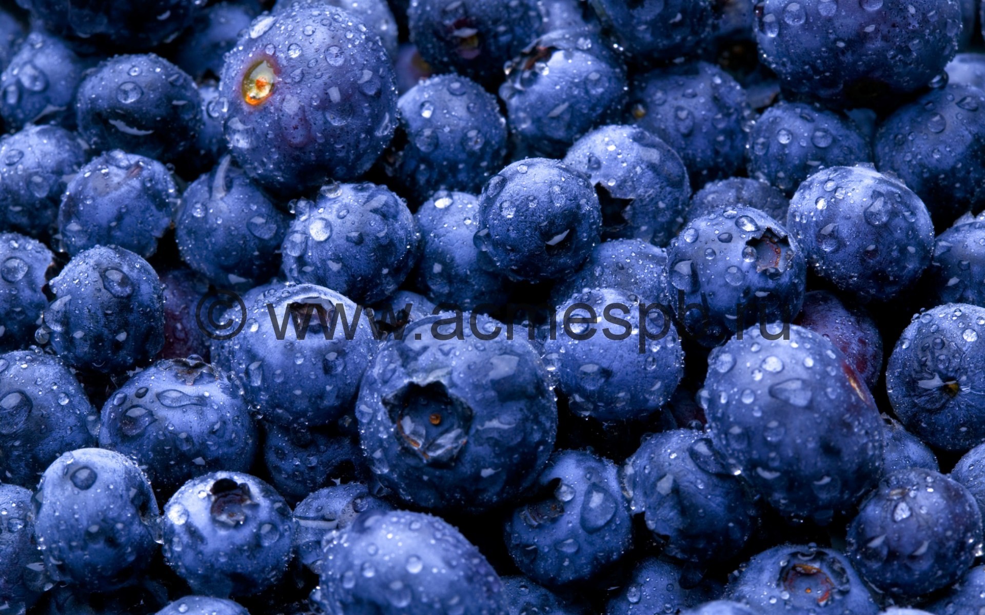 Blueberry Черника