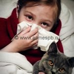 Аллергия на животных –  если не хочешь расставаться с домашним питомцем