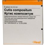 Кутис композитум