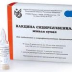 Вакцина сибиреязвенная живая