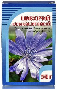 Цикорий обыкновенный трава