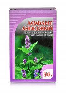 лофант анисовый