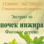 Почки инжира фиговое дерево геммо-экстракт