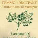 Геммо-экстракт клен полевой