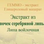 Почек серебряной липы геммо-экстракт