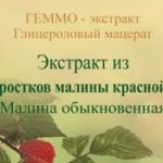 Малина обыкновенная геммо-экстракт