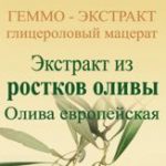 Олива европейская геммо-экстракт