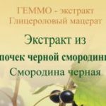 Почек черной смородины геммо-экстракт