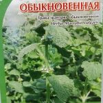 Шандра обыкновенная