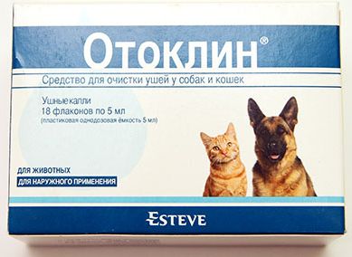 Отоклин | Новости Здоровья | Поиск И Заказ Лекарств В Аптеках.