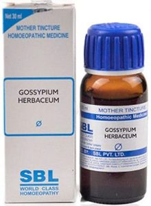 госсипиум хербацеум