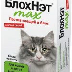 БлохНэт max