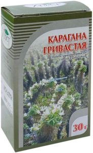 Карагана гривастая