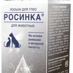 Росинка