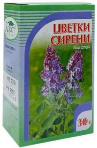 Сирень цветки