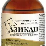 Азикан