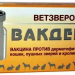 Вакцина вакдерм