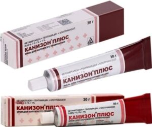 Канизон плюс